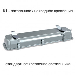 Люмьер ДПП-НК-030.МС производитель Seoul Semiconductor (Корея)