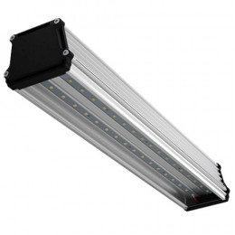 Люмьер ДПП-050.ПР производитель Seoul Semiconductor (Корея)