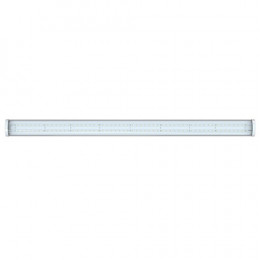 Люмьер ДПП-ПЛ-050.ПР производитель Seoul Semiconductor (Корея)